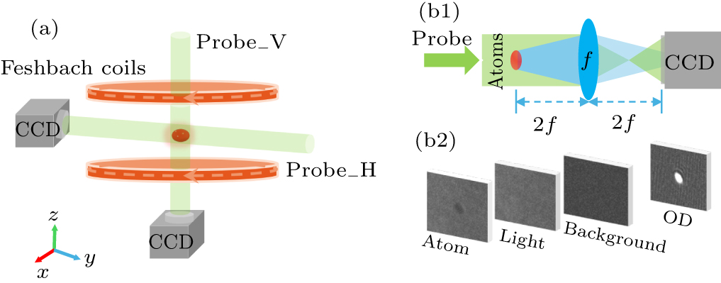 Ultracold atomic absorption imaging system in high magnetic fields ...