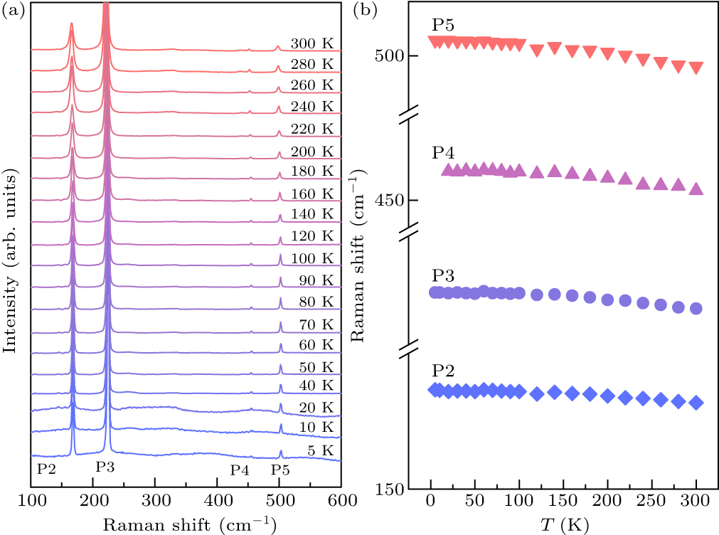 Band gap engineering and vibrational properties of van der Waals ...