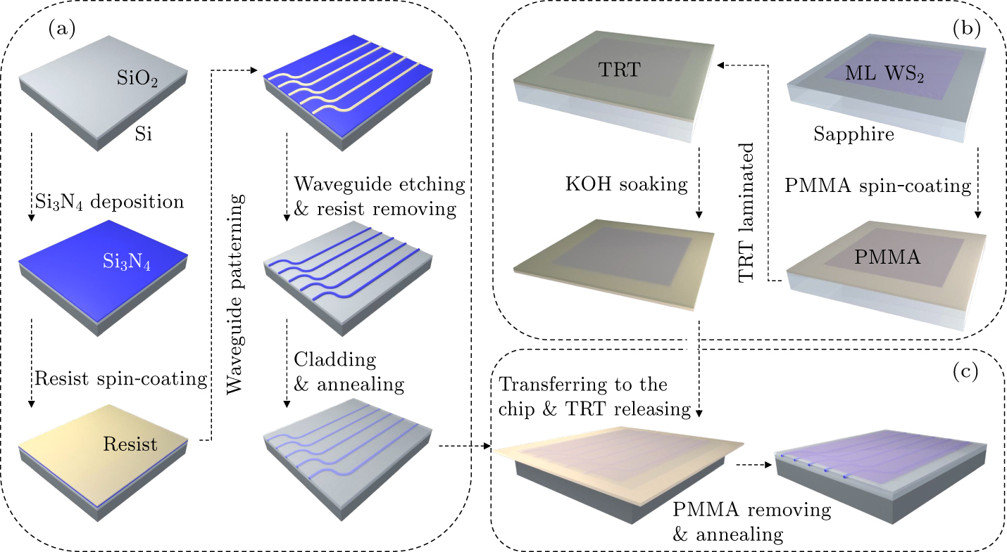 Heterogeneous integration of silicon nitride photonics and CVD-grown ...