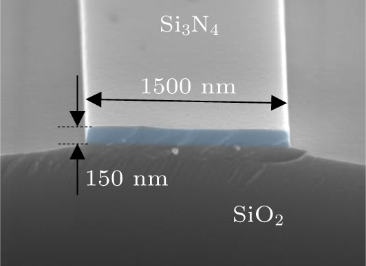 Heterogeneous integration of silicon nitride photonics and CVD-grown ...