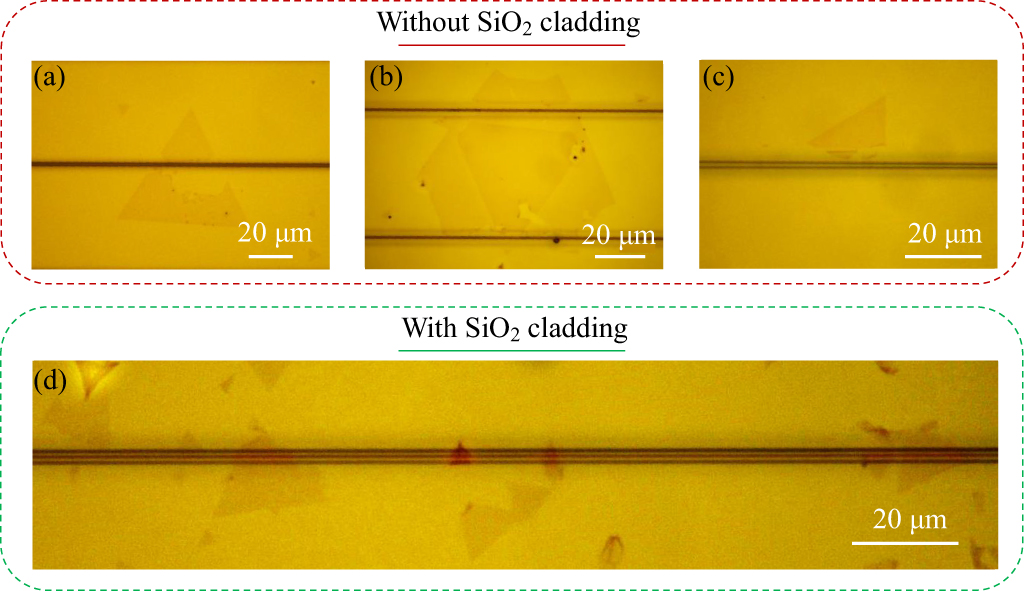 Heterogeneous integration of silicon nitride photonics and CVD-grown ...