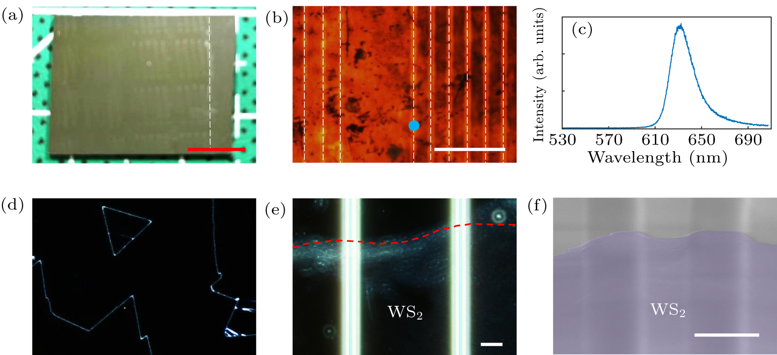 Heterogeneous integration of silicon nitride photonics and CVD-grown ...