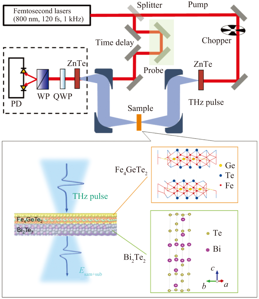 Ultrafast electron transport in 2D van der Waals heterostructures