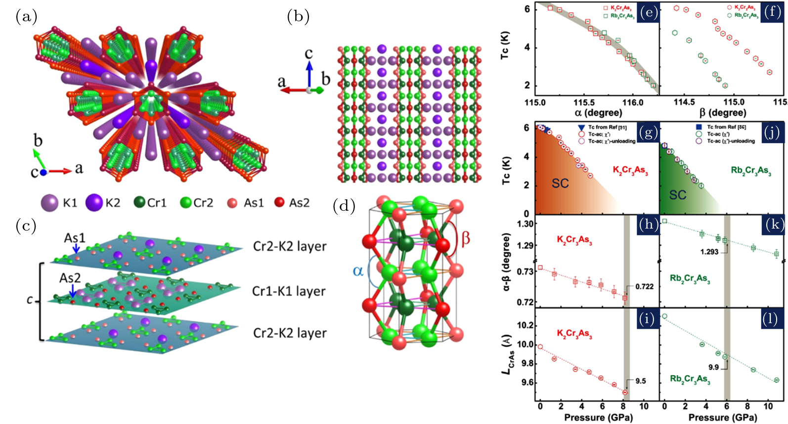 カラム) Chloroquine Downregulation of Intestinal Autophagy Changed