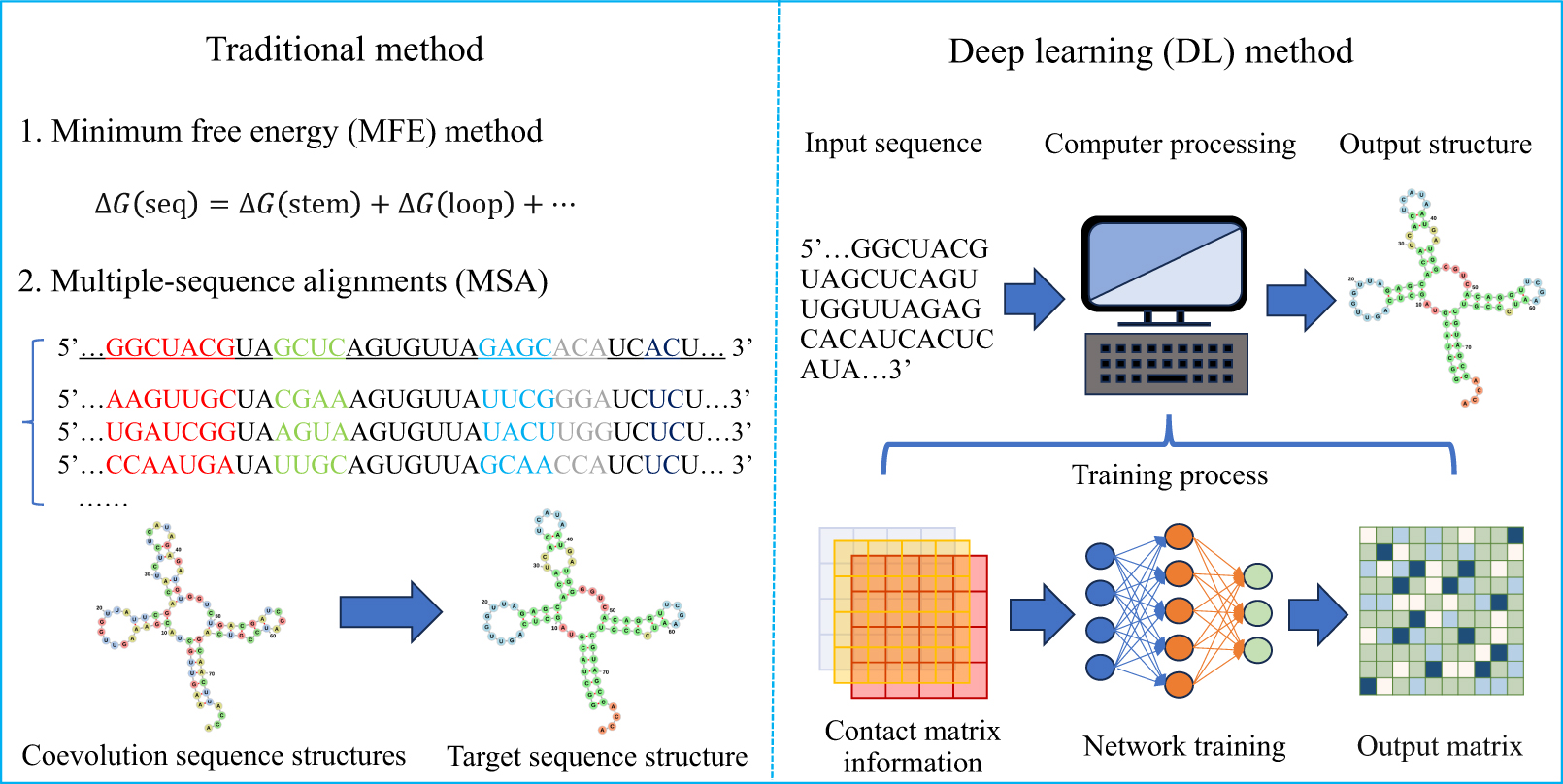 A comprehensive evaluation of RNA secondary structures prediction ...