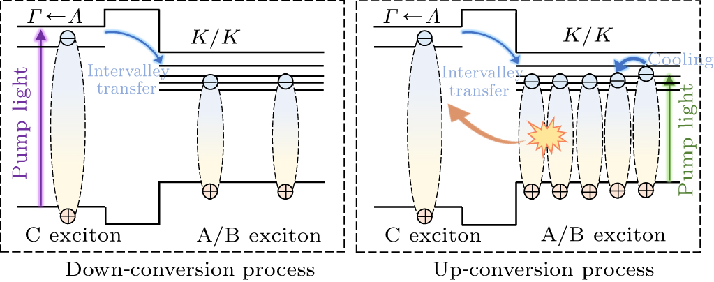 Probing high-energy and band-edge exciton dynamics in monolayer WS2 ...