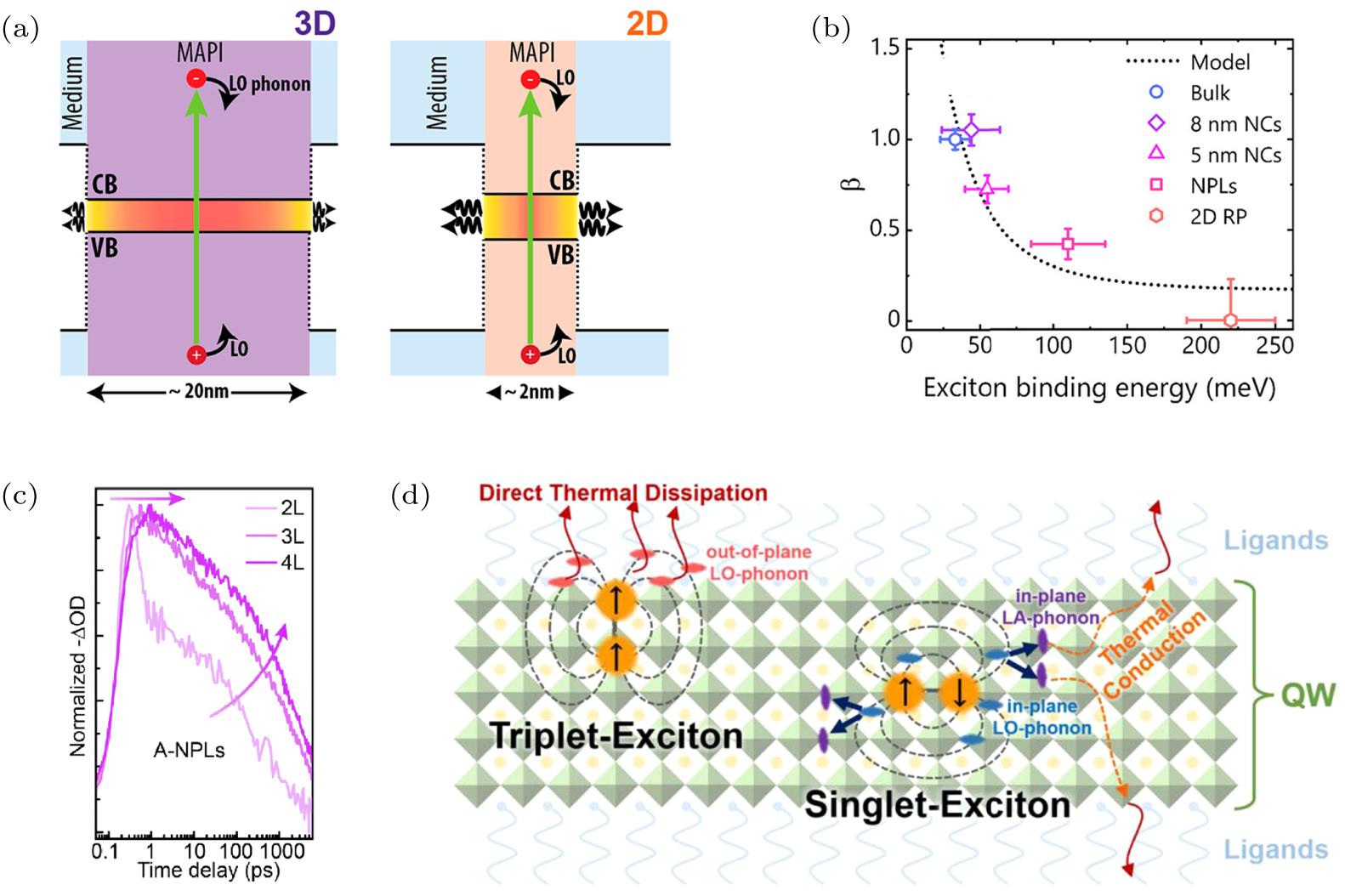 Regulation strategies of hot carrier cooling process in perovskite ...