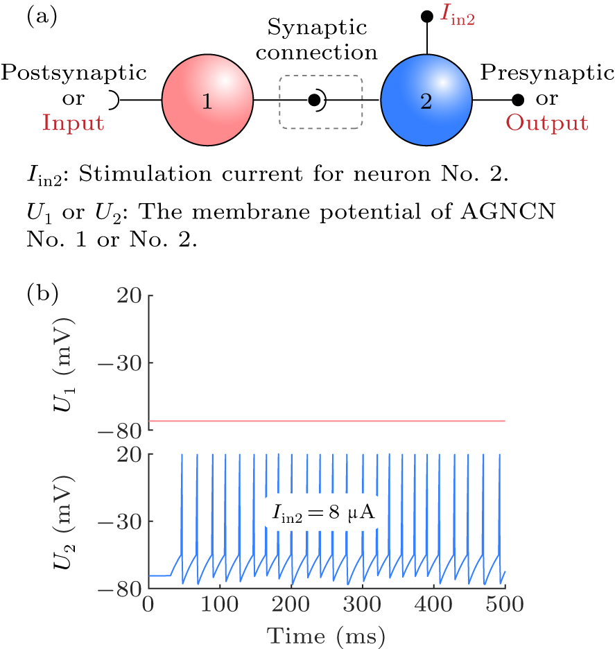 An artificial synapse capable of regulating signal transmission speed ...