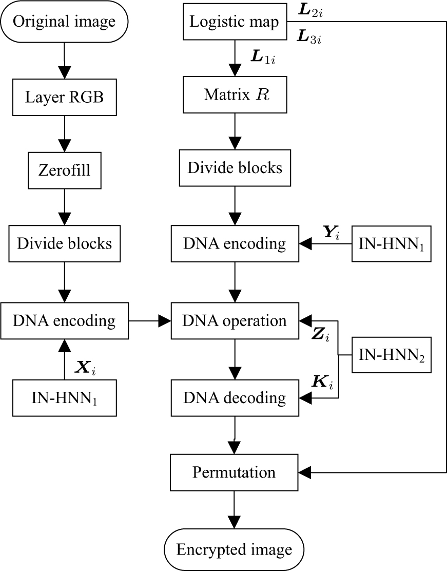Dynamic analysis and DNA coding-based image encryption of memristor ...