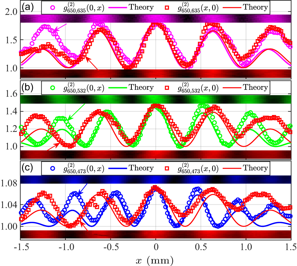 Second-order correlated interference with multi-wavelength thermal ...