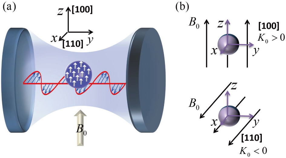 Generation of squeezed states of magnons and photons based on the Kerr ...