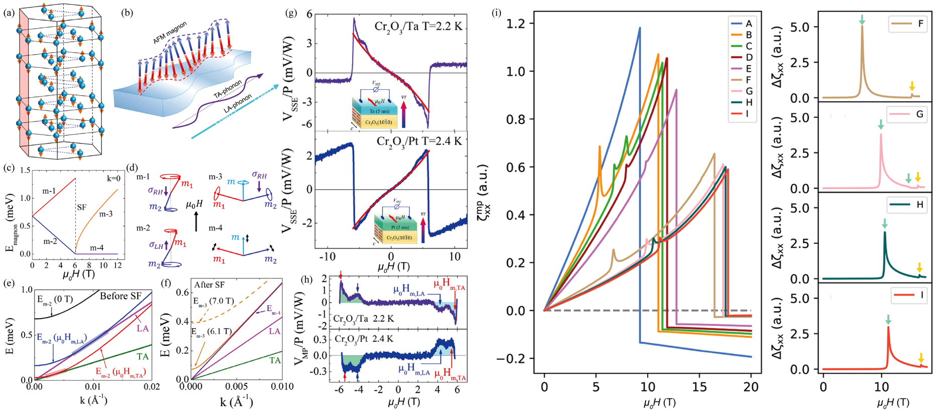 Magnon polarons: Hybrid quasiparticles in coupled spin–lattice systems ...