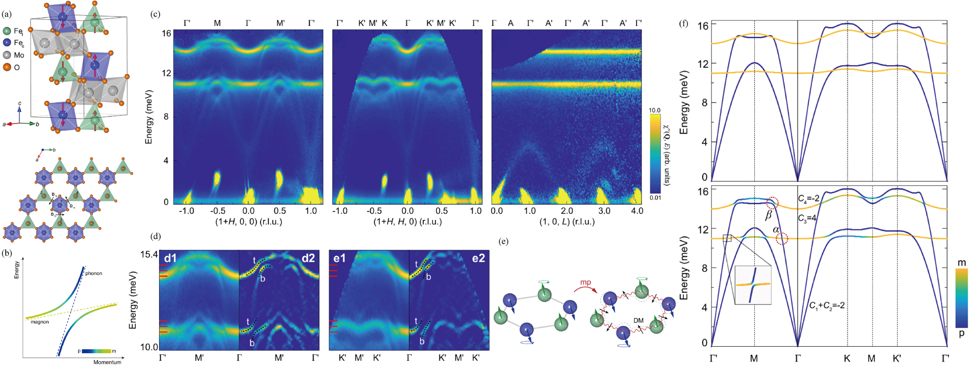 Magnon polarons: Hybrid quasiparticles in coupled spin–lattice systems ...