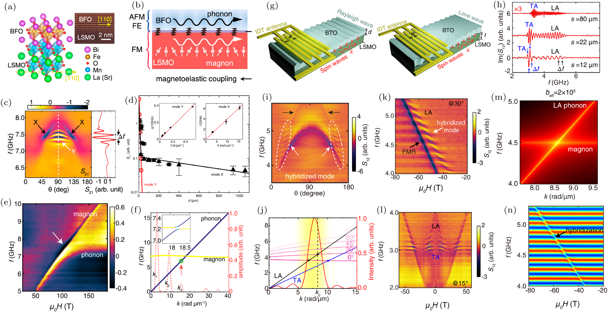 Magnon polarons: Hybrid quasiparticles in coupled spin–lattice systems ...