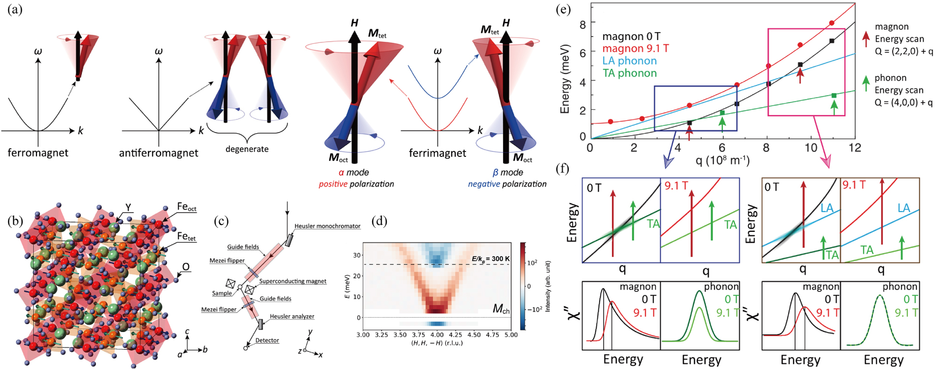 Magnon polarons: Hybrid quasiparticles in coupled spin–lattice systems ...