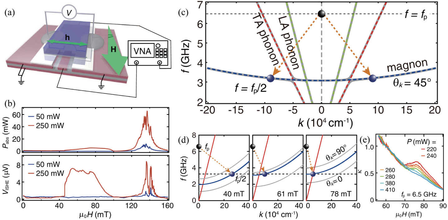 Magnon polarons: Hybrid quasiparticles in coupled spin–lattice systems ...