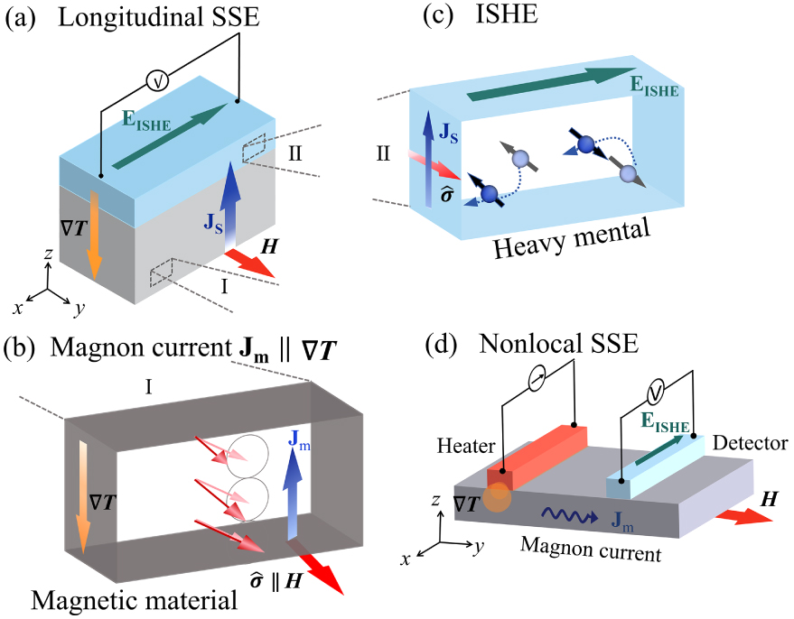 Magnon polarons: Hybrid quasiparticles in coupled spin–lattice systems ...