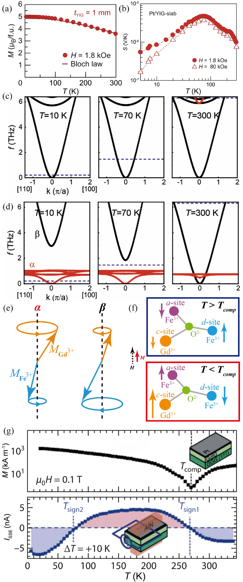 Magnon polarons: Hybrid quasiparticles in coupled spin–lattice systems ...
