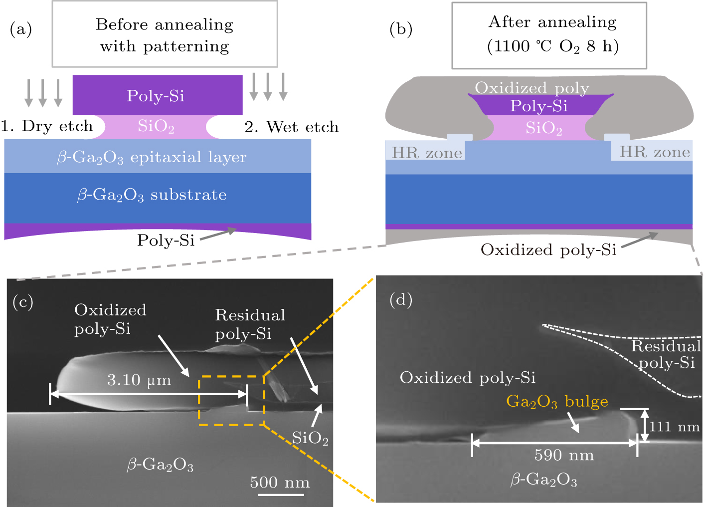 Design and optimization of area-selective carrier modulation in β-Ga2O3 ...