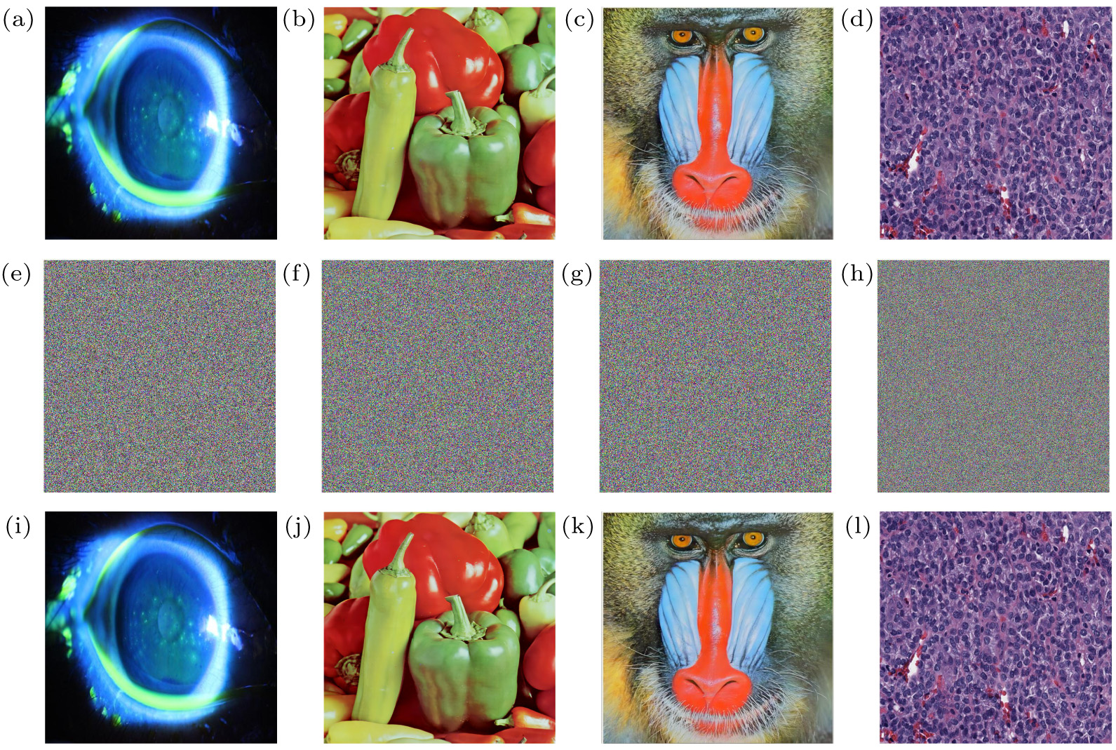 A visually meaningful medical image encryption scheme based on image ...