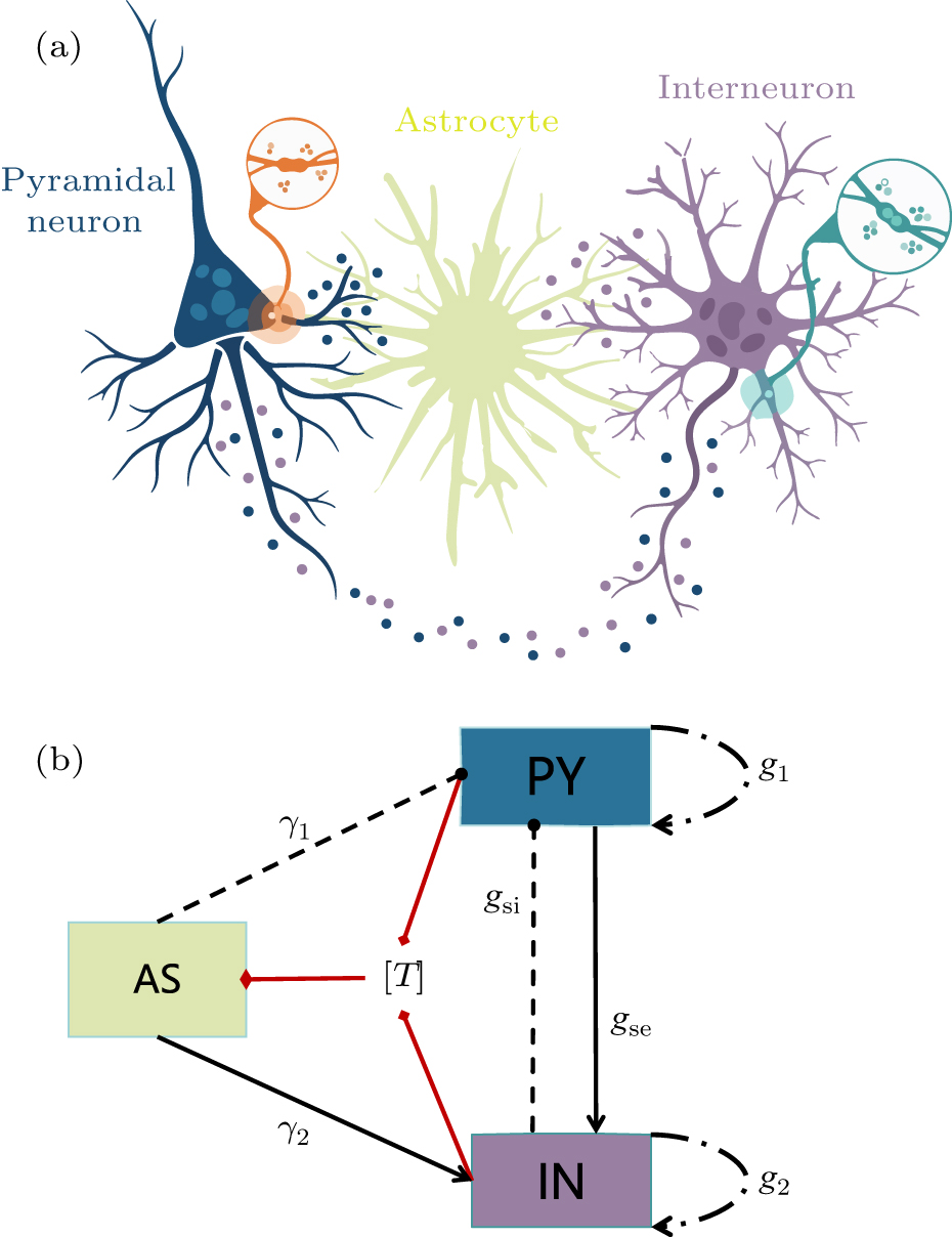 Autapse Bursting synchronization induced by time-delay excitatory or inhibitory ...