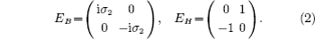 Equation ((2))