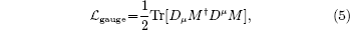 Equation ((5))