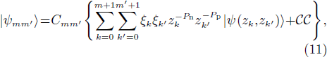 Equation (11)