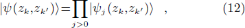 Equation (12)