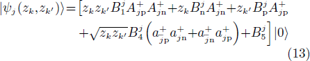 Equation (13)