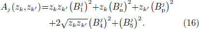 Equation (16)