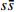 $s\bar{s}$