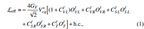 Equation (1)