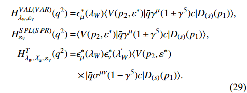 Equation (29)