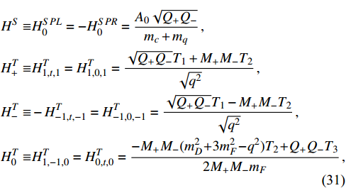 Equation (31)