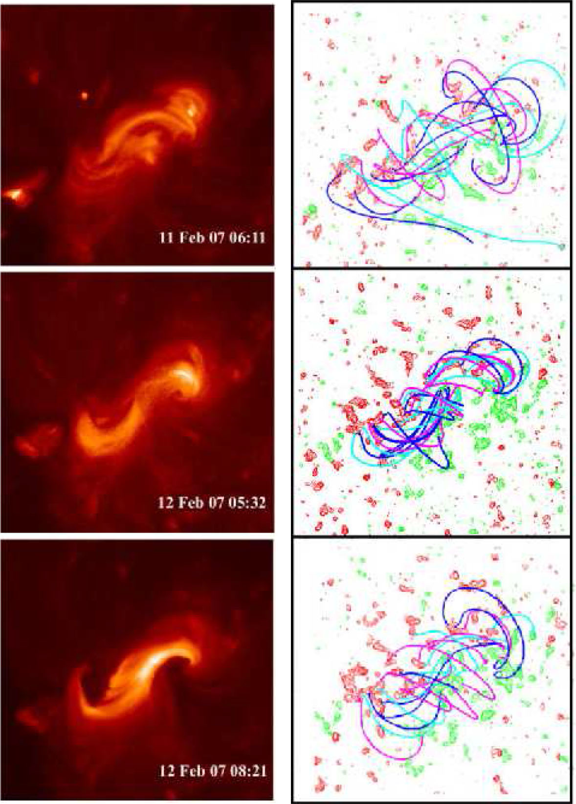 Magnetic flux ropes in the solar corona: structure and