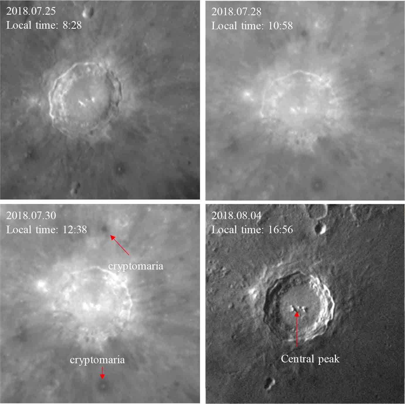 Seamless maps of major elements of the Moon: Results from high ...