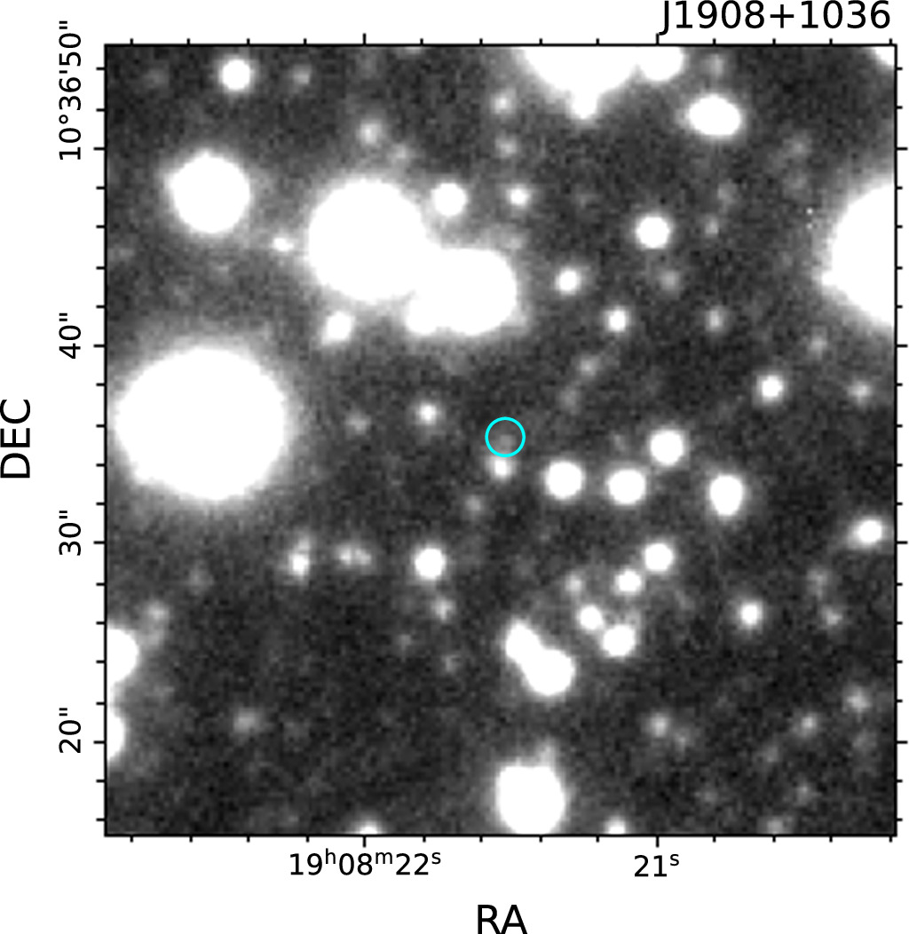 The FAST Galactic Plane Pulsar Snapshot Survey. VIII. 116 Binary
