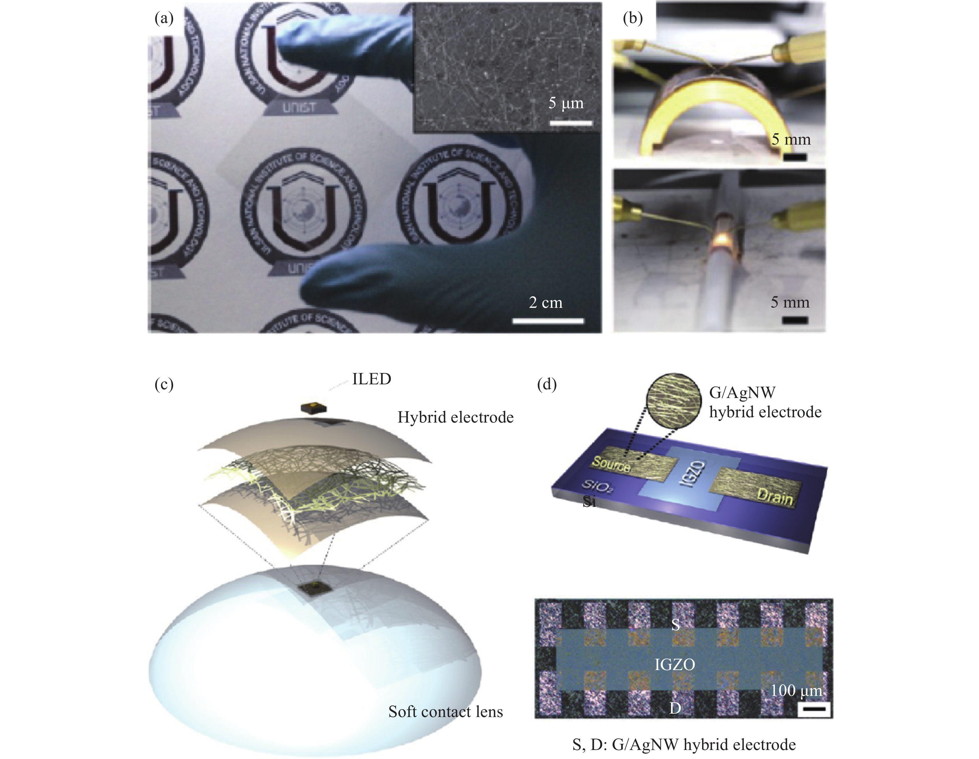 Recent advances in flexible and wearable organic optoelectronic devices ...