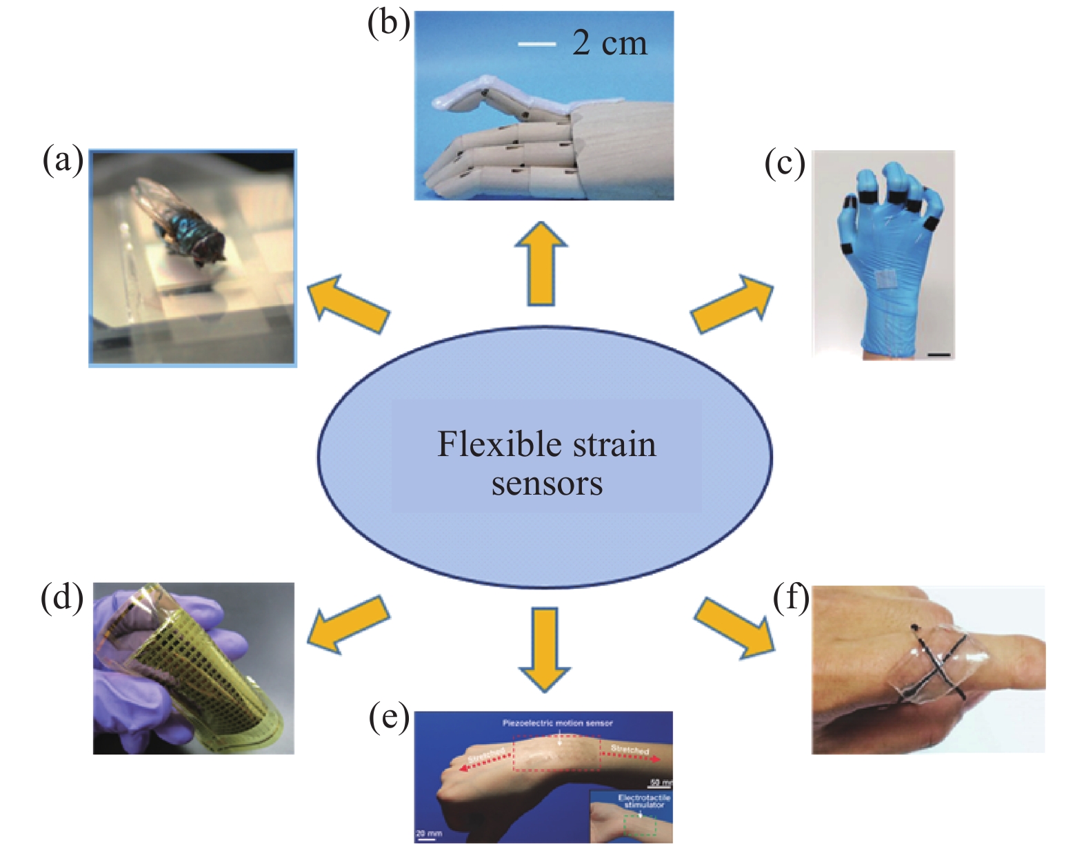 Recent progress of flexible and wearable strain sensors for human ...