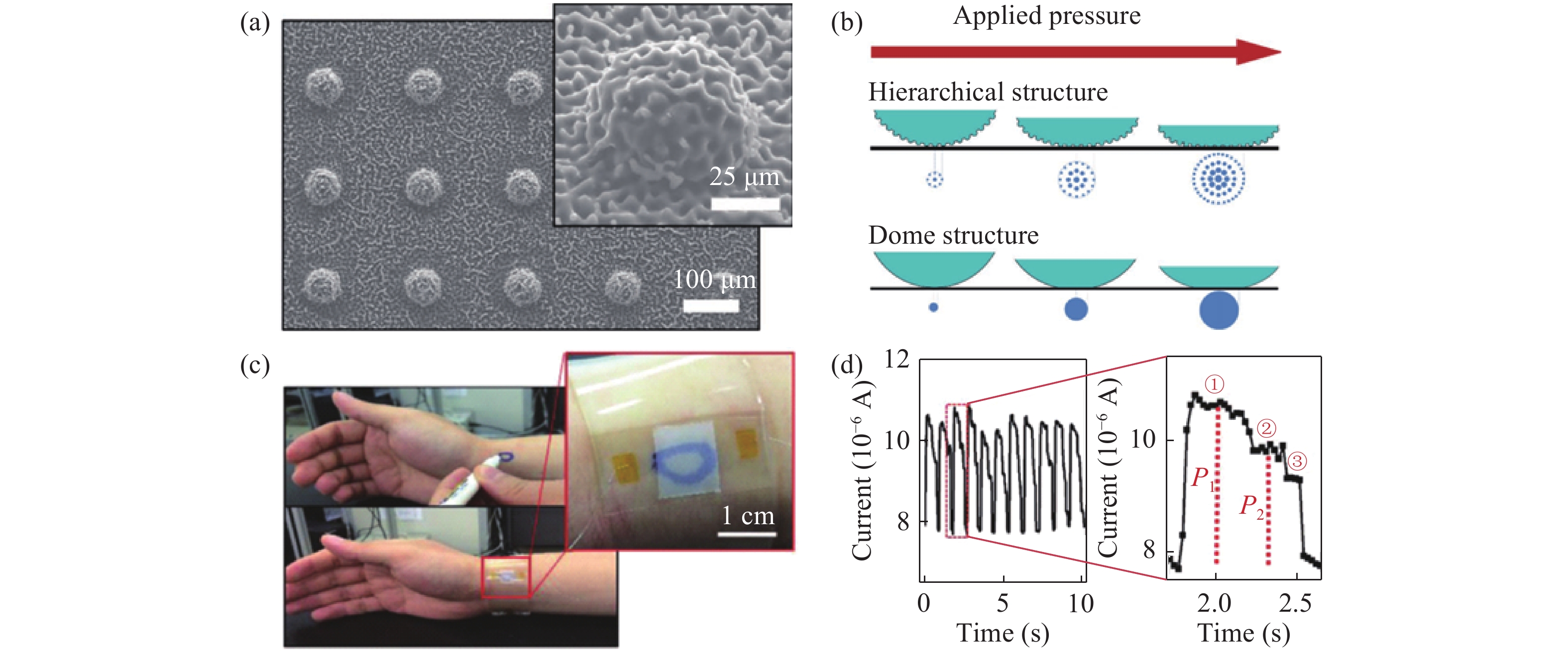 Recent progress of flexible and wearable strain sensors for human ...