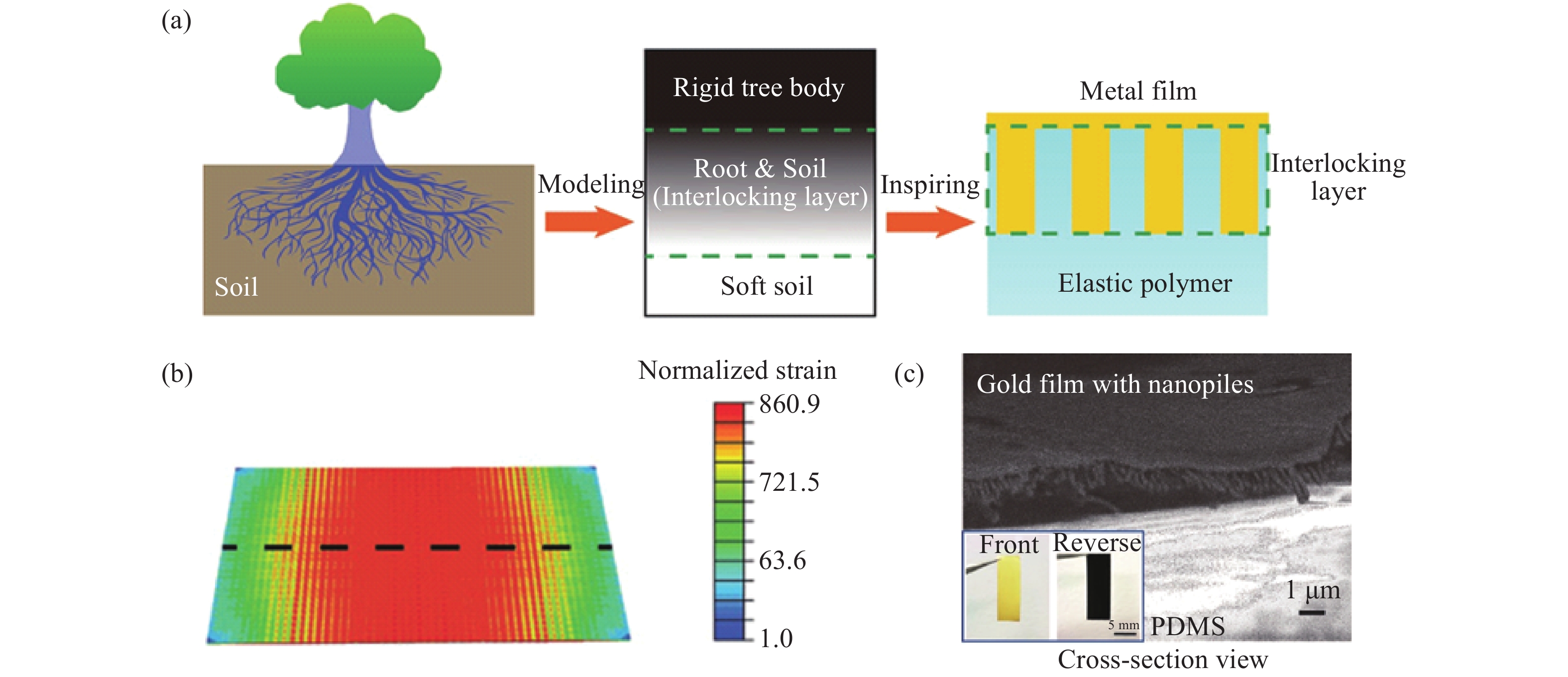 Recent progress of flexible and wearable strain sensors for human ...