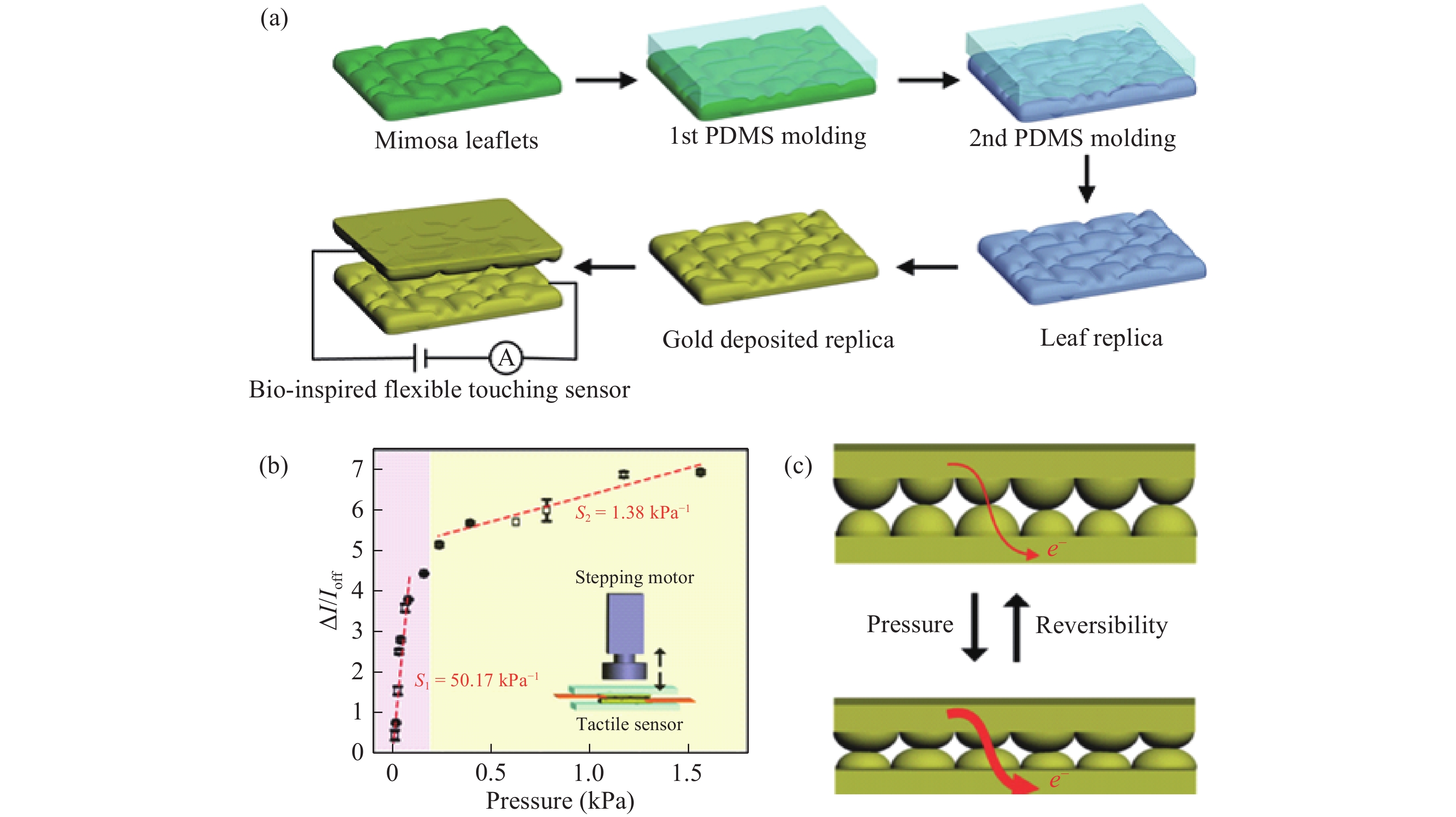 Recent progress of flexible and wearable strain sensors for human ...