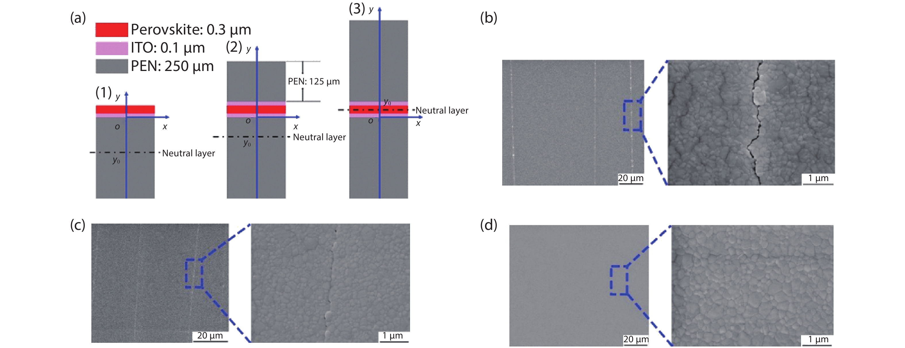 A review of flexible halide perovskite solar cells towards scalable ...