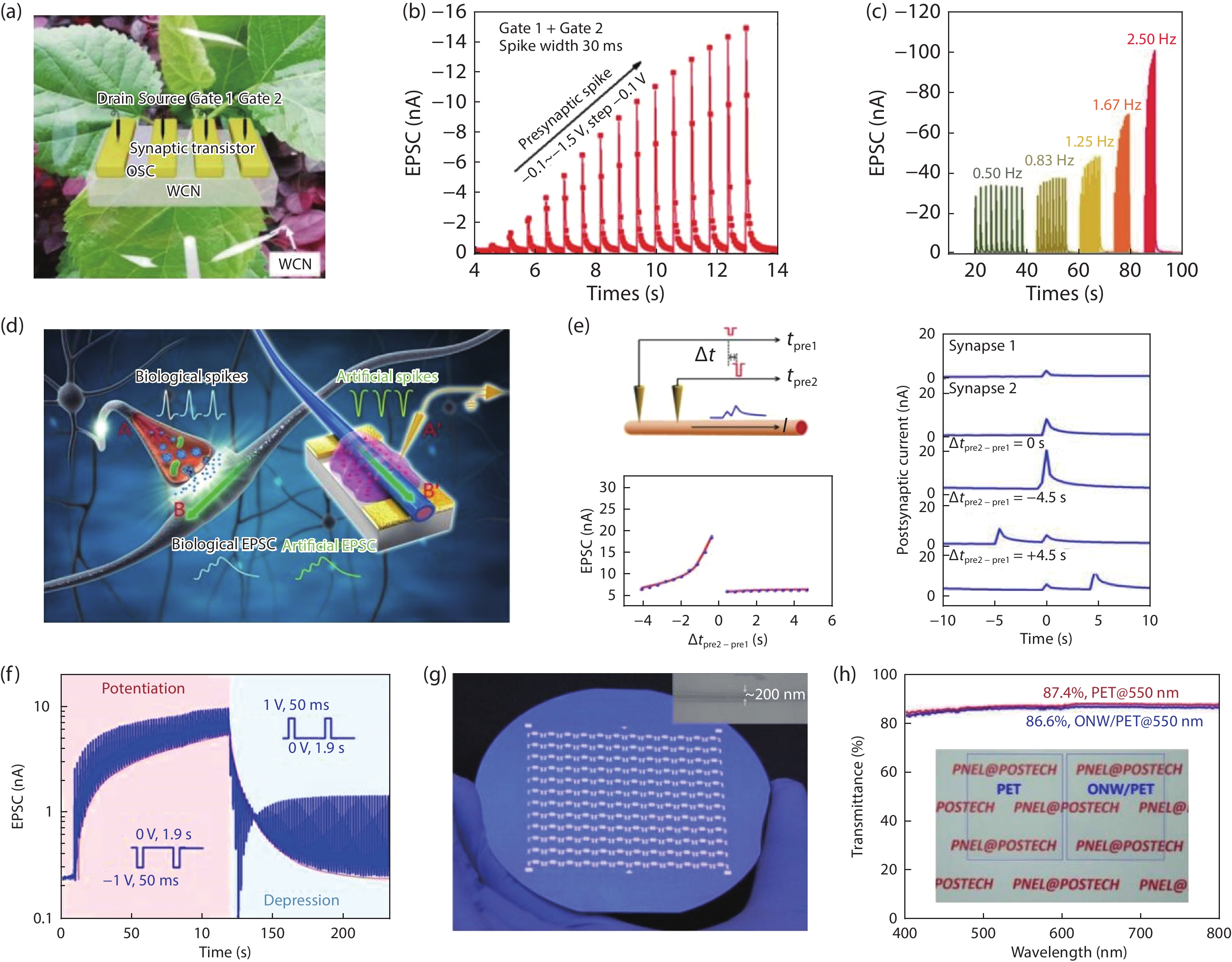 Electrolyte-gated transistors for neuromorphic applications - IOPscience