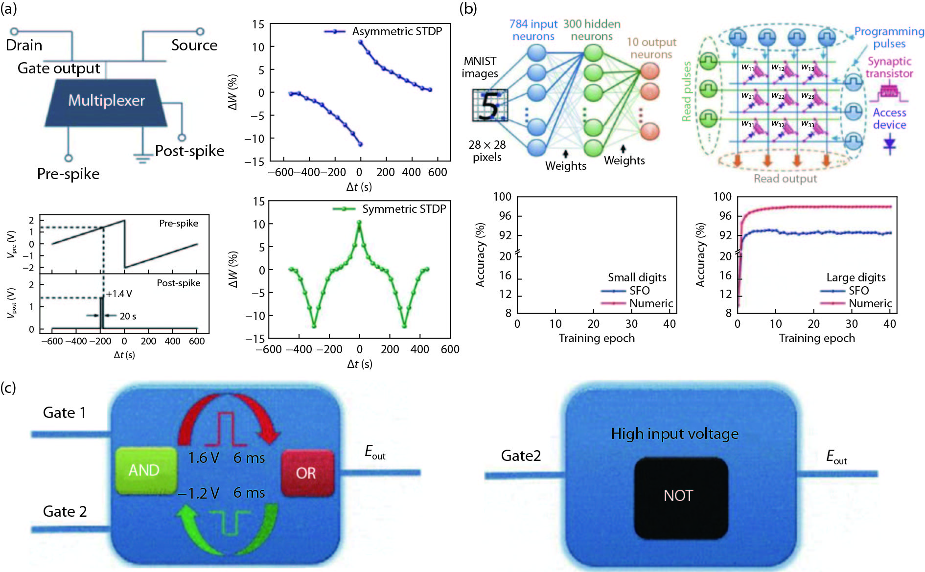 Electrolyte-gated transistors for neuromorphic applications - IOPscience