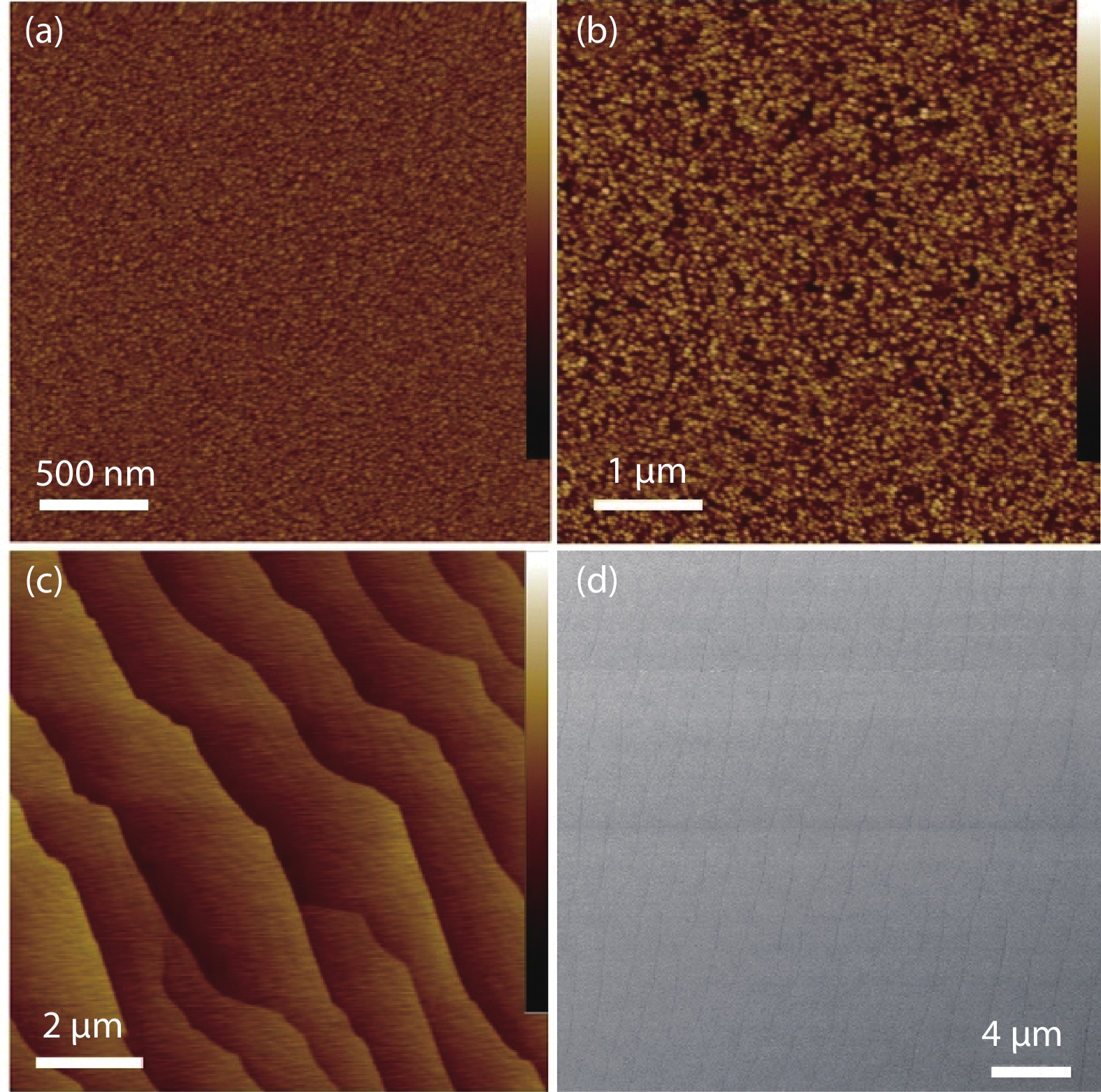 Four-inch high quality crack-free AlN layer grown on a high-temperature ...
