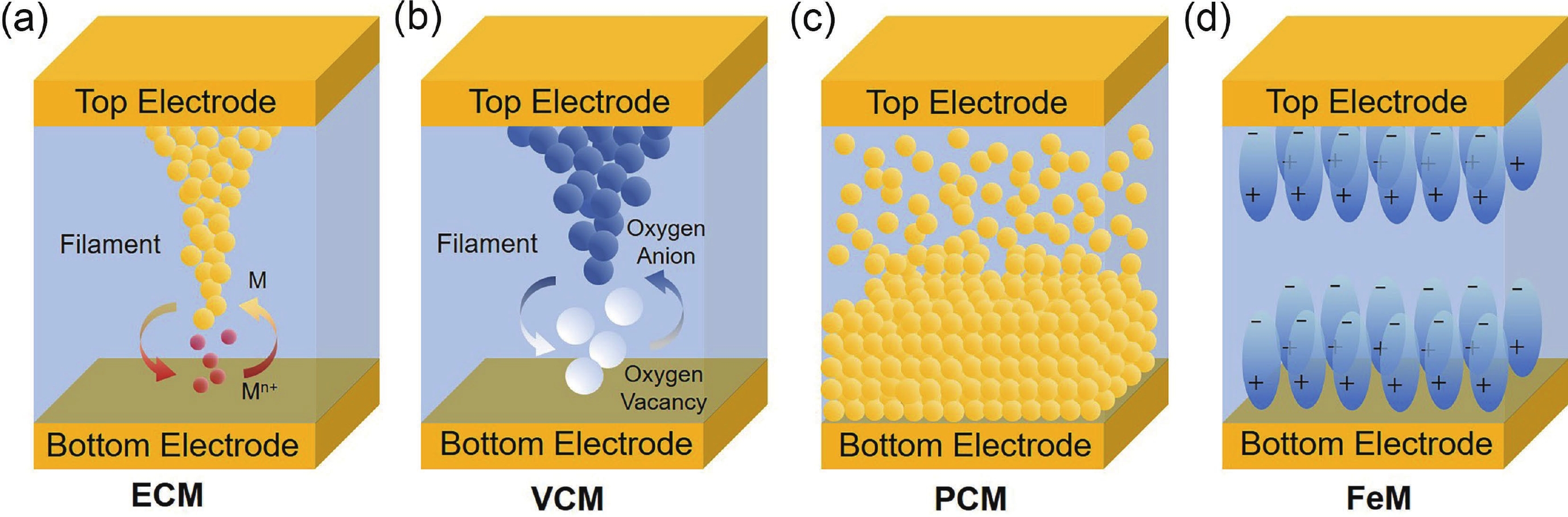 Multifunctional neurosynaptic devices for human perception systems ...