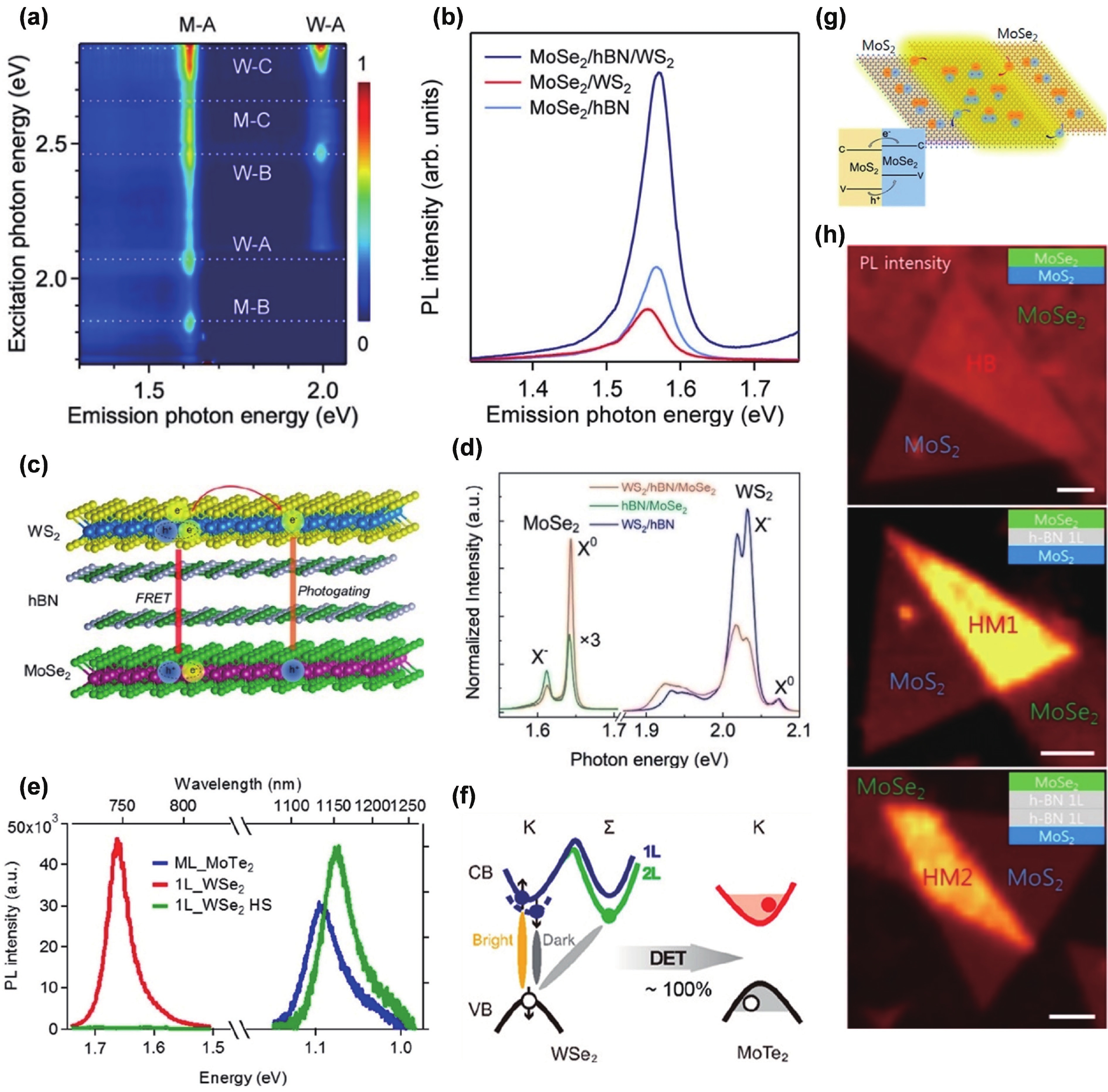 Interface engineering in two-dimensional heterostructures towards novel ...