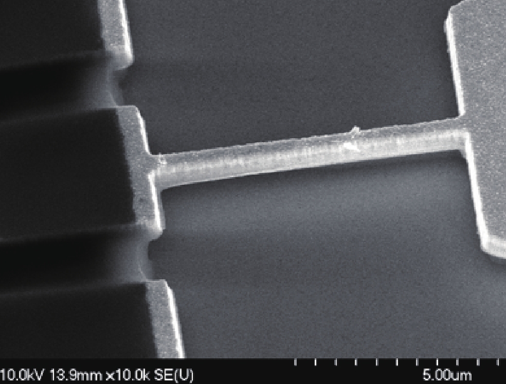 Development of a simple two-step lithography fabrication process for ...